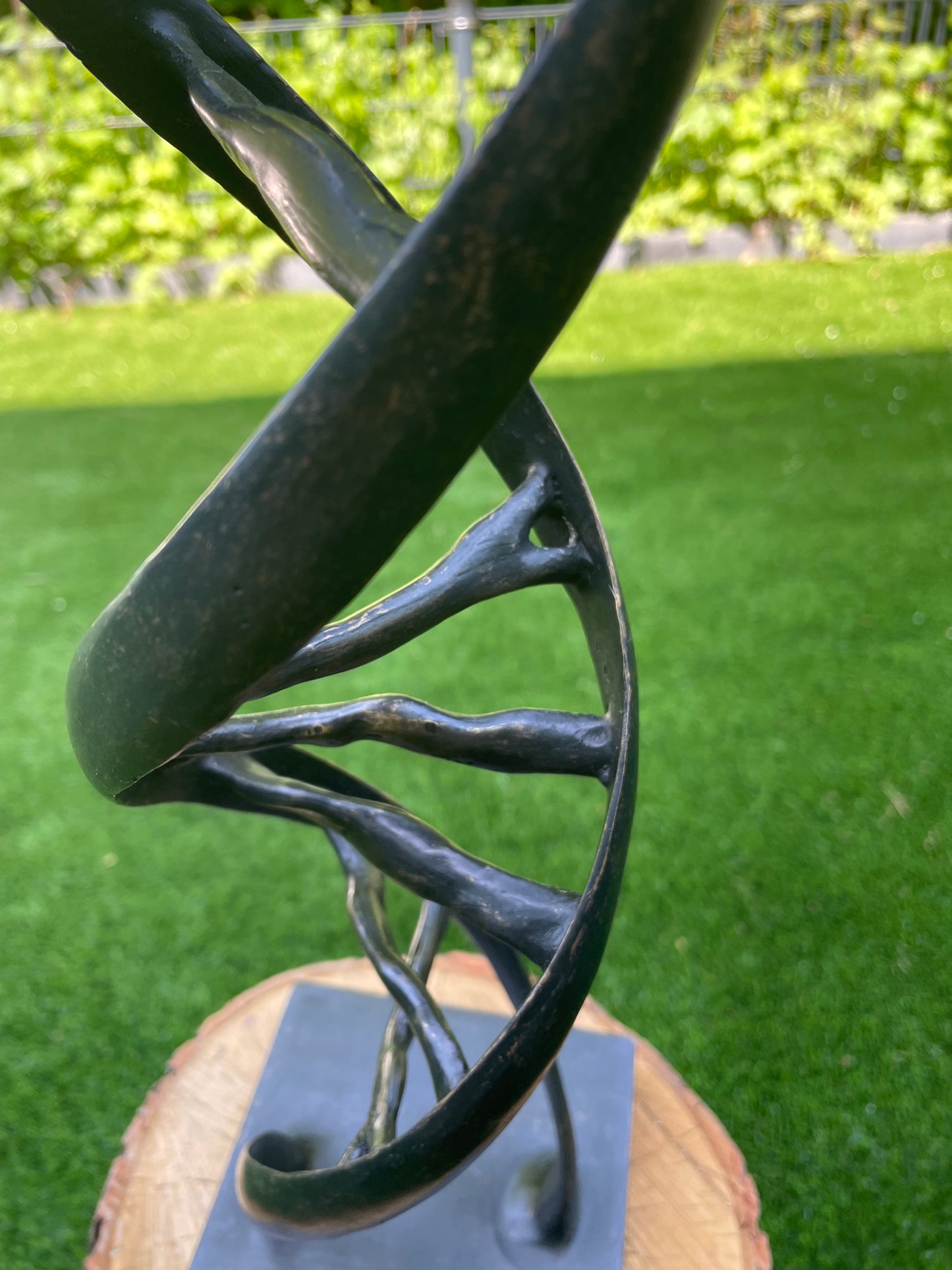 DNA Bronze 53x13x13cm