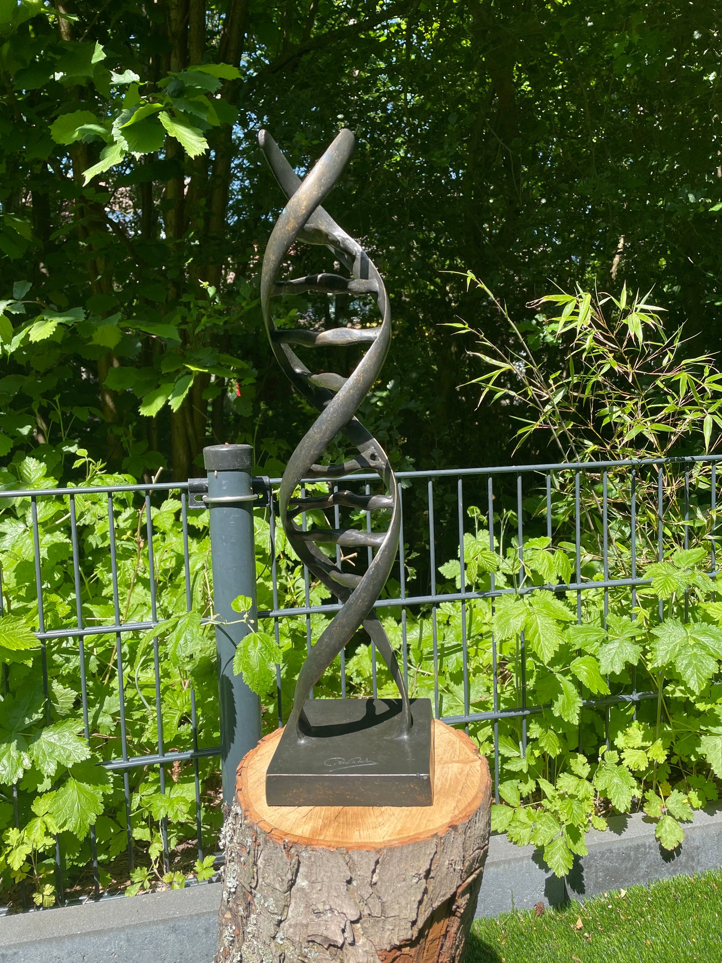 Bronze DNA 53x13x13cm