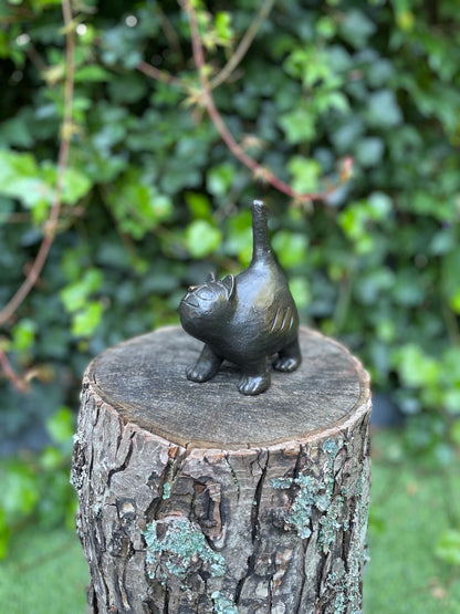 Modern bronze kitten. 14x7x10cm