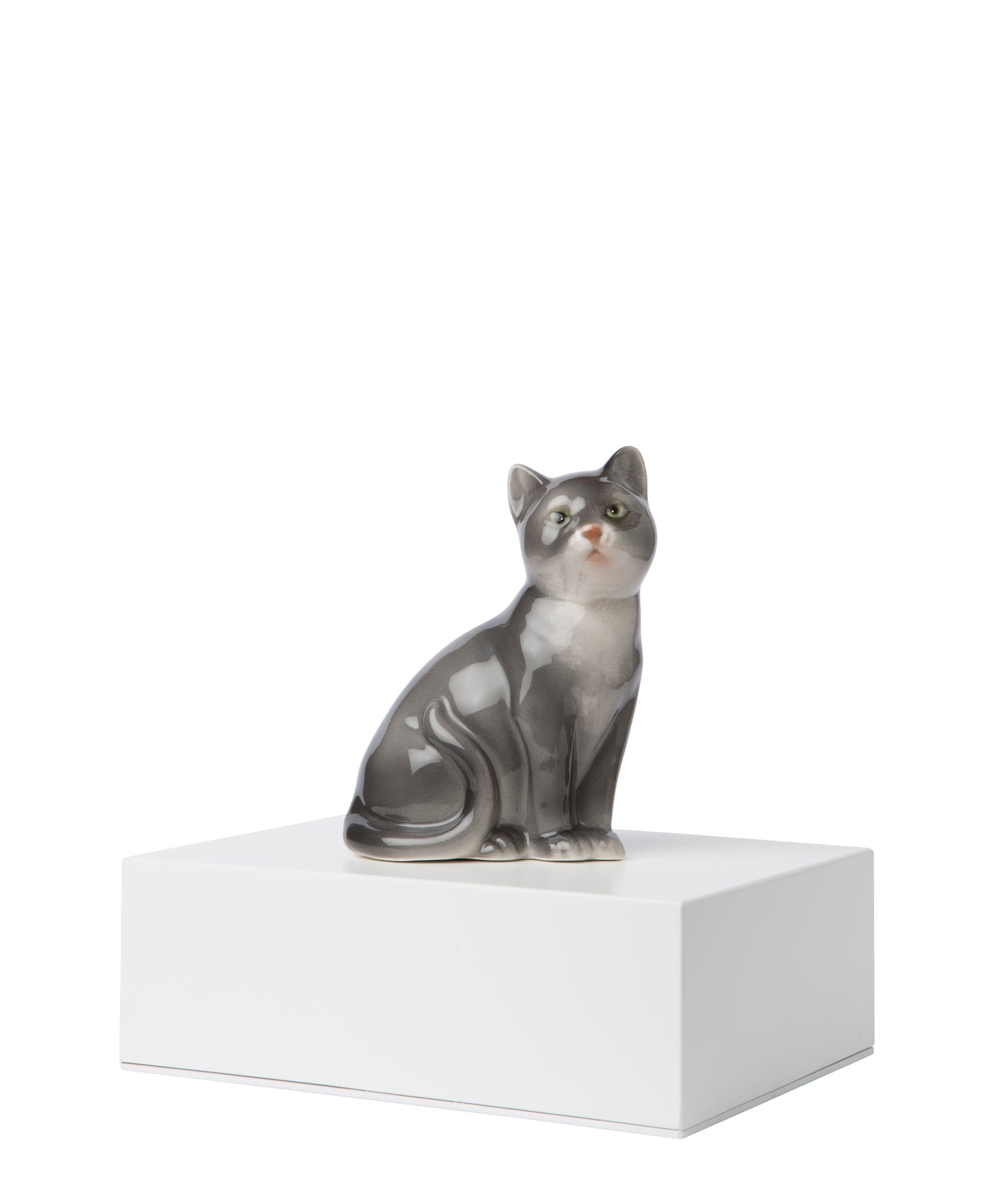 <transcy>cat urns</transcy>