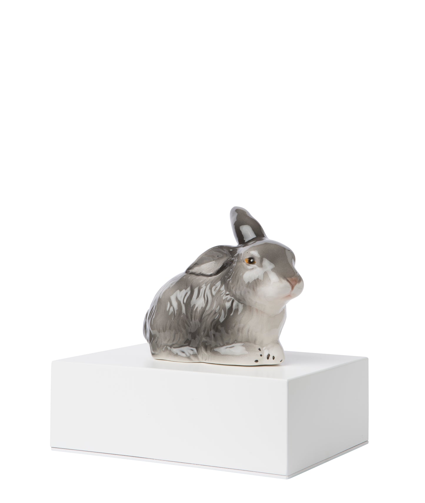 Urnas Coelhos
