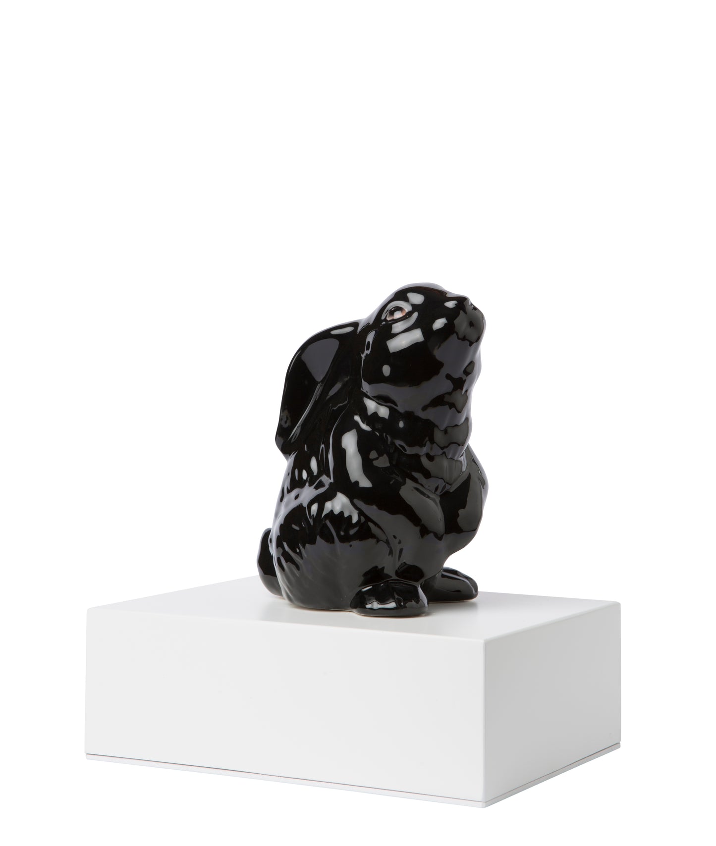 Urnas Coelhos