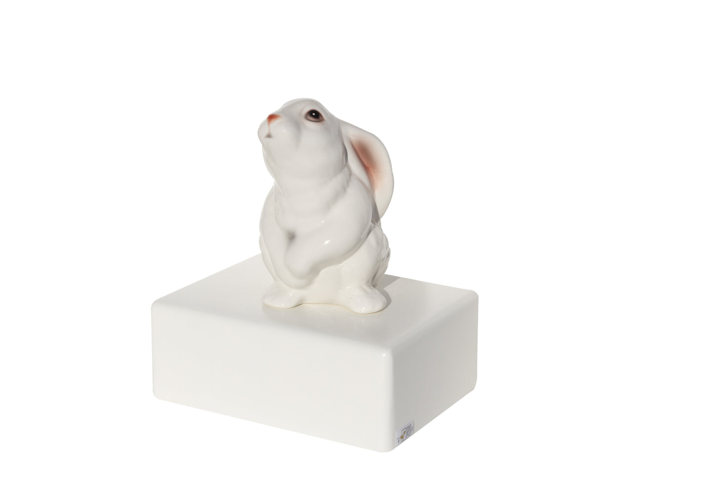 Urnas Coelhos