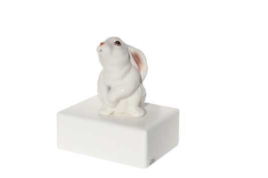 Urnas Coelhos