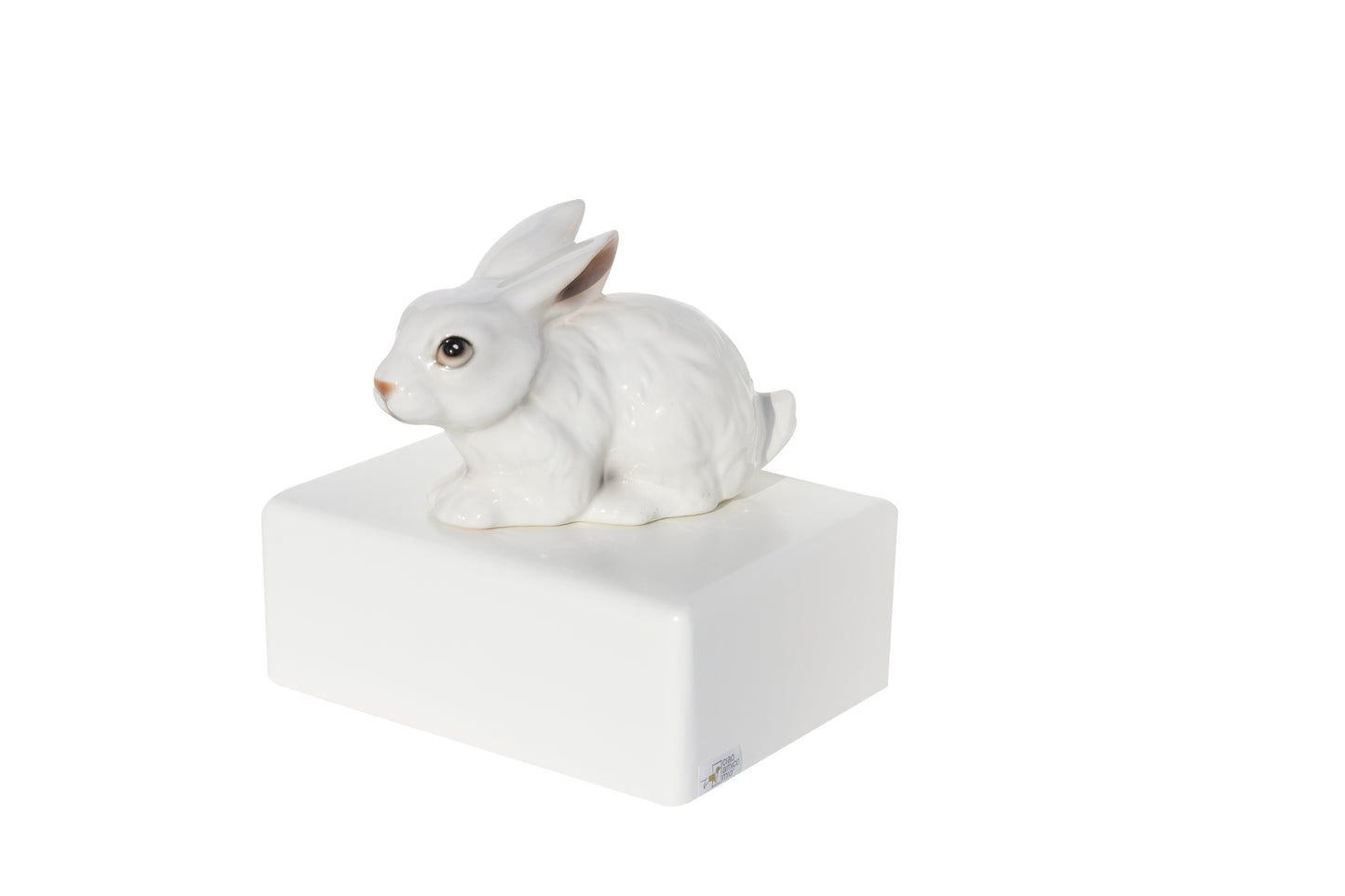 Urnas Coelhos