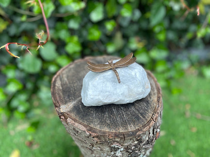 Bronze Dragonfly 7x5x7cm