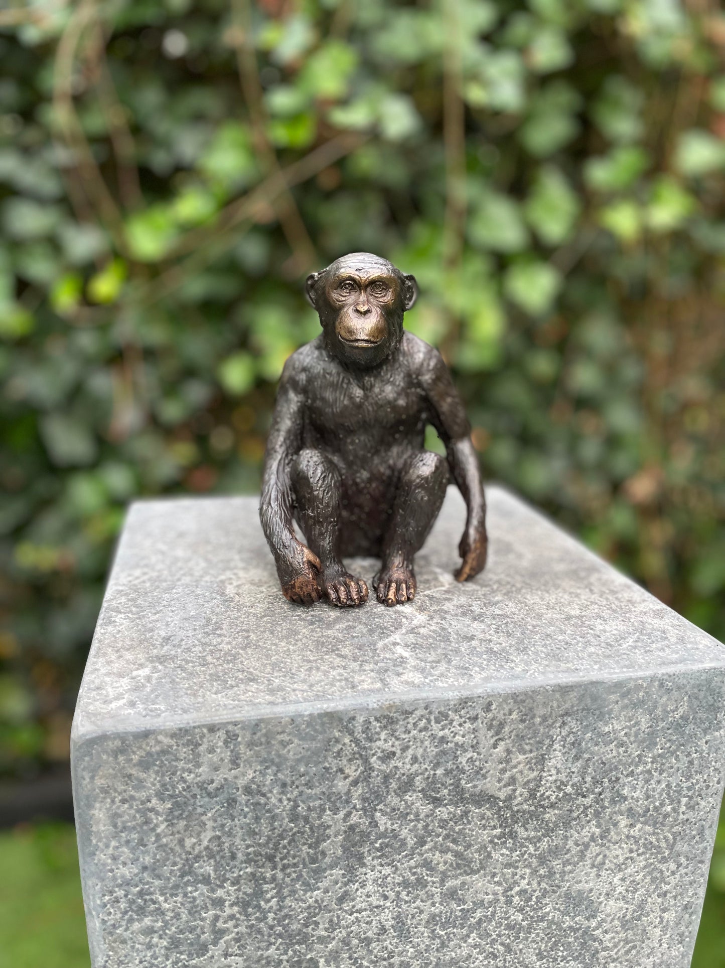 Bronze Monkey 15x9x12cm