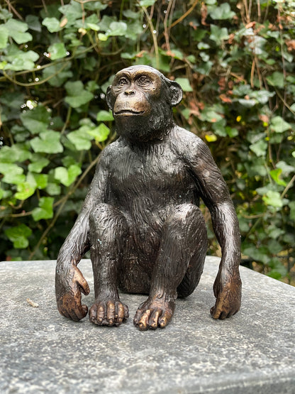 Bronze Monkey 15x9x12cm