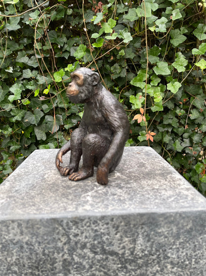 Bronze Monkey 15x9x12cm