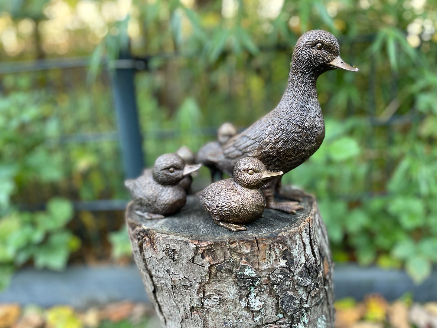 Ducklings in Bronze 19x10x16cm