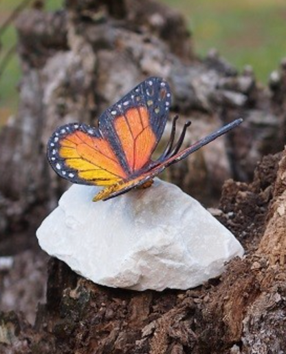 Bronze butterfly 12x11x11cm