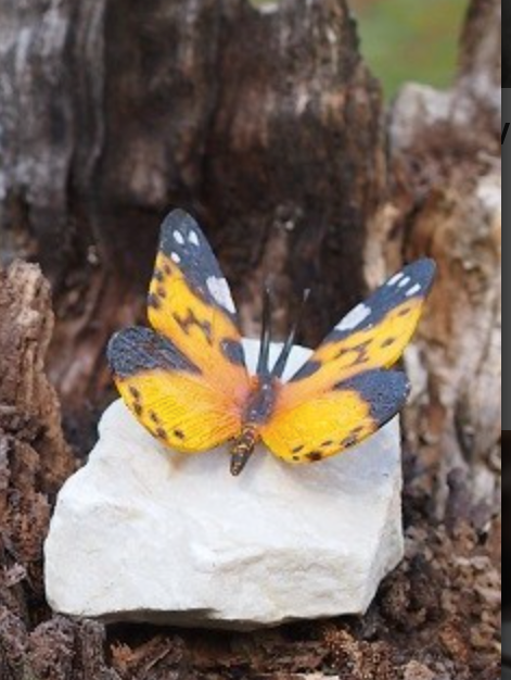 Bronze butterfly 12x11x11cm