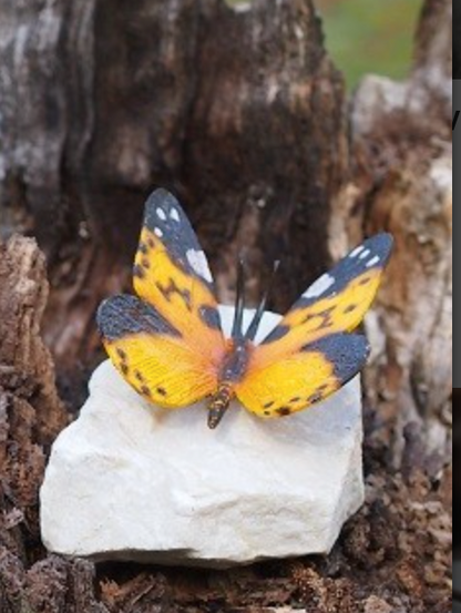 Bronze butterfly 12x11x11cm