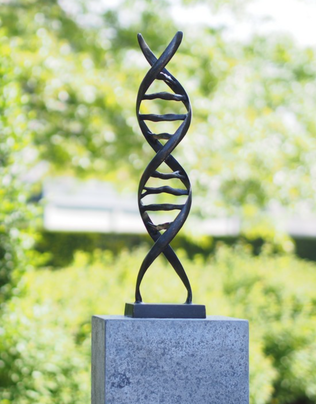 Bronze DNA 53x13x13cm