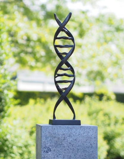 DNA Bronze 53x13x13cm