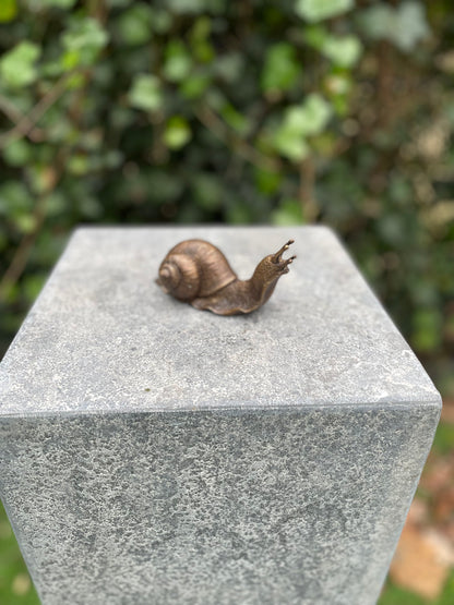 Caracol em Bronze 6x5x11cm