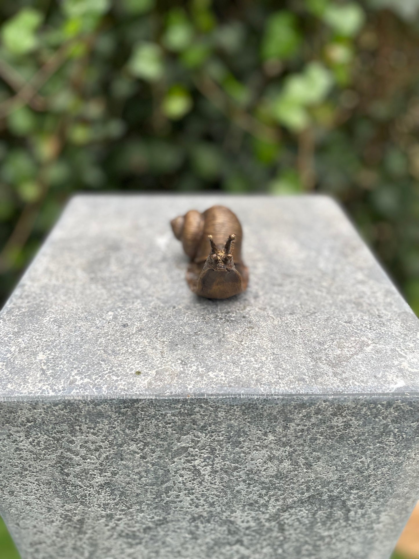 Caracol em Bronze 6x5x11cm