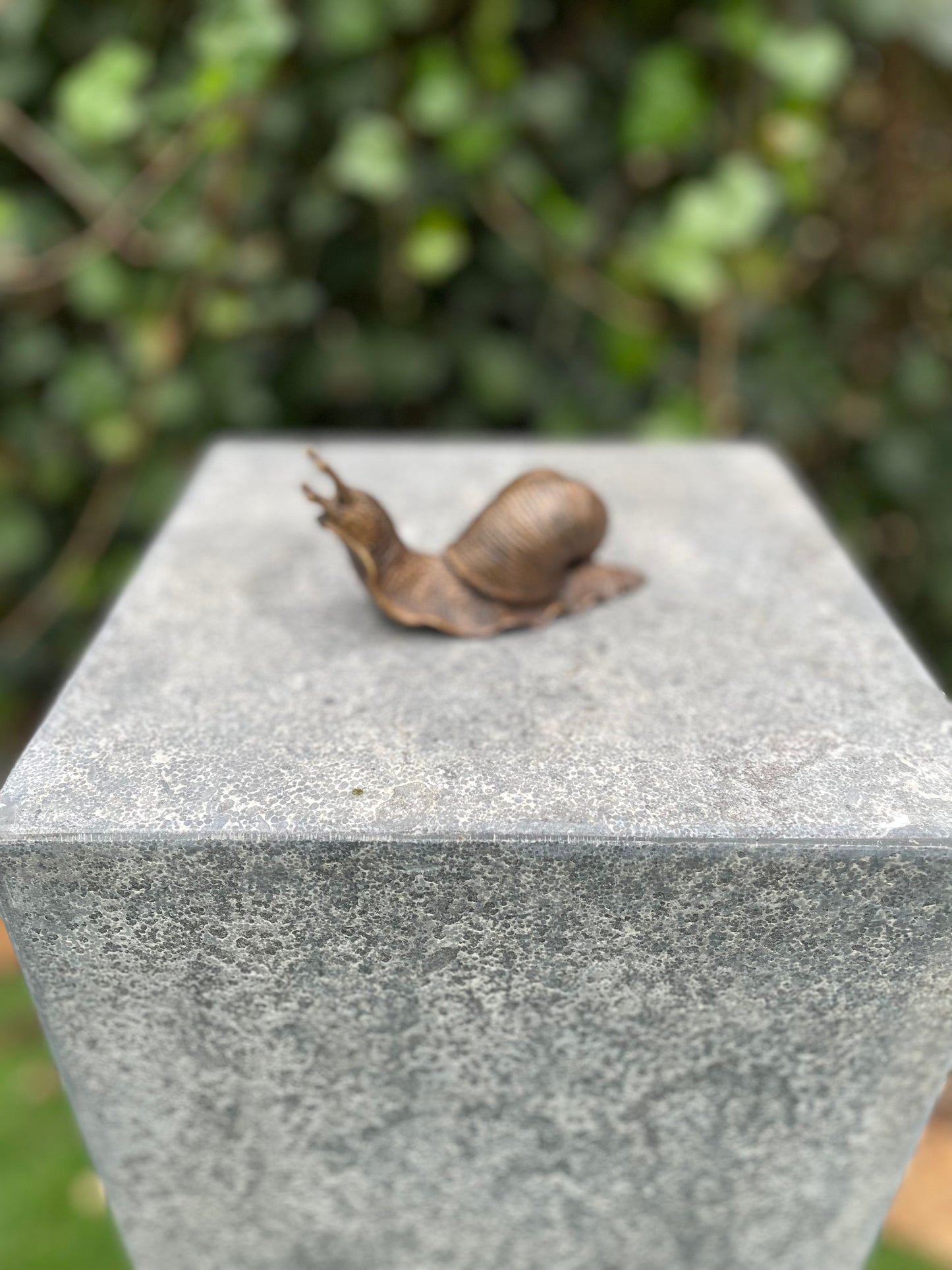 Bronze snail 6x5x11cm