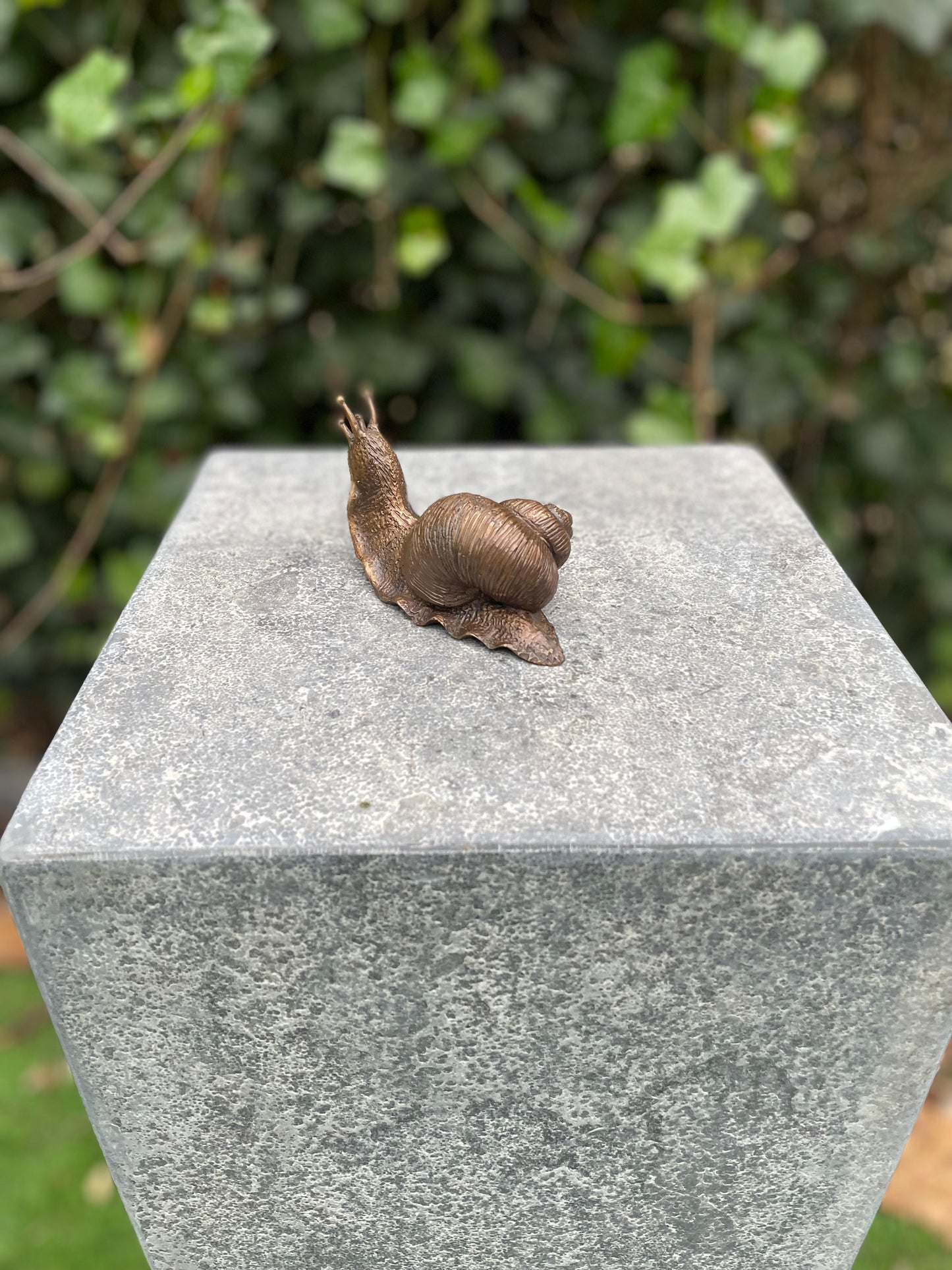 Caracol em Bronze 6x5x11cm