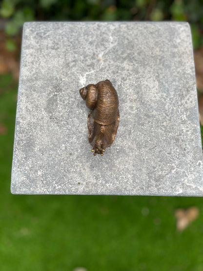 Bronze snail 6x5x11cm