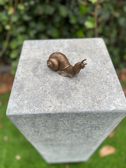 Bronze snail 6x5x11cm