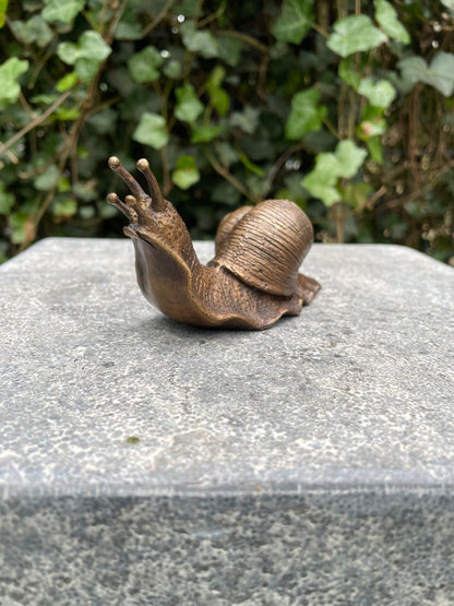 Bronze snail 6x5x11cm