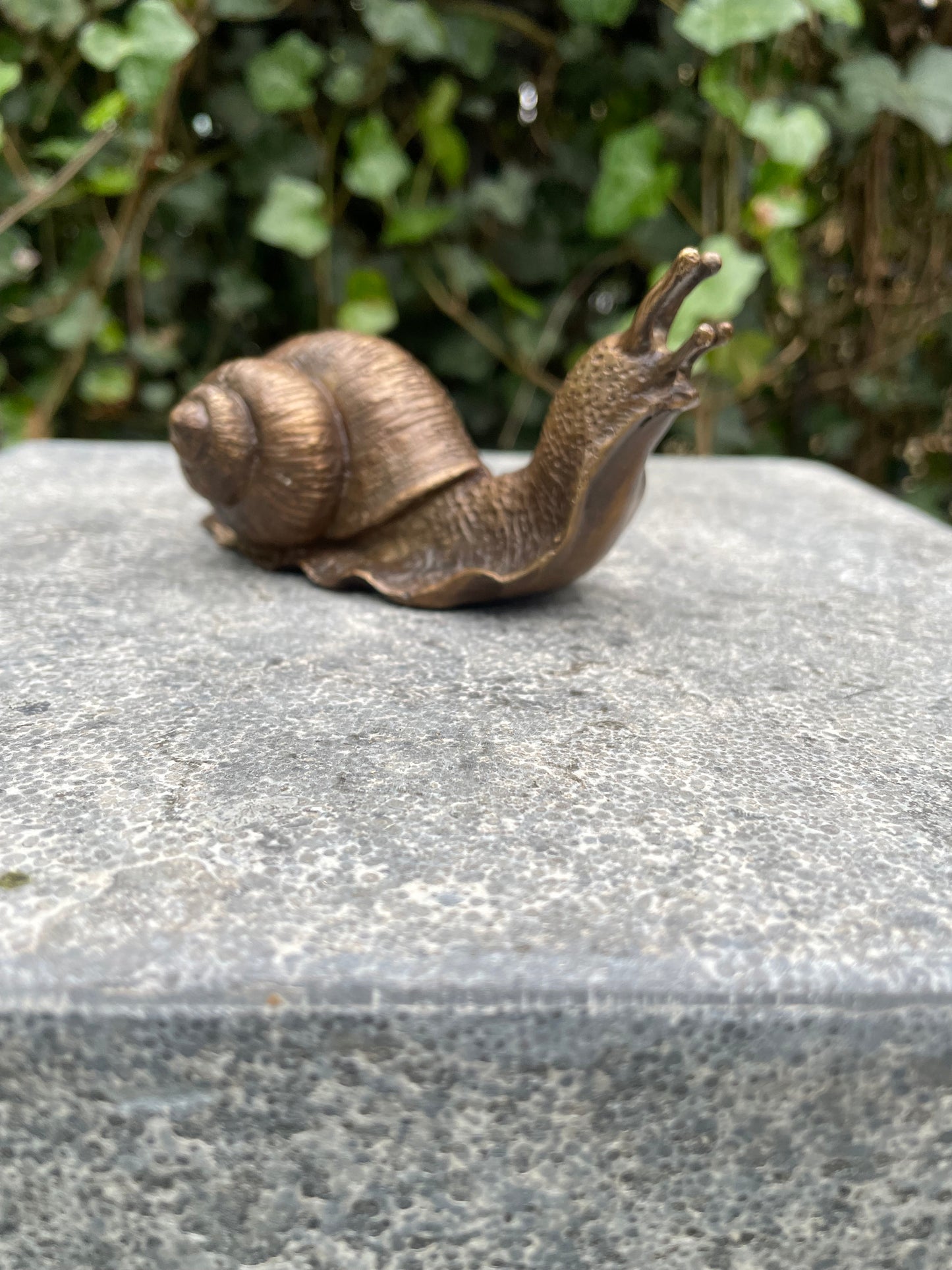 Bronze snail 6x5x11cm