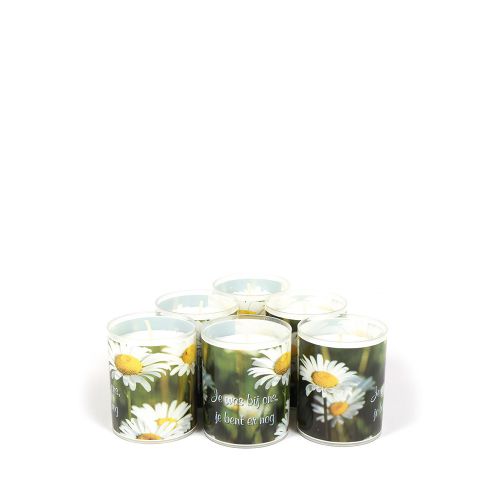 Velas Comemorativas - 6,5 cm - ø 5cm - 6 Velas