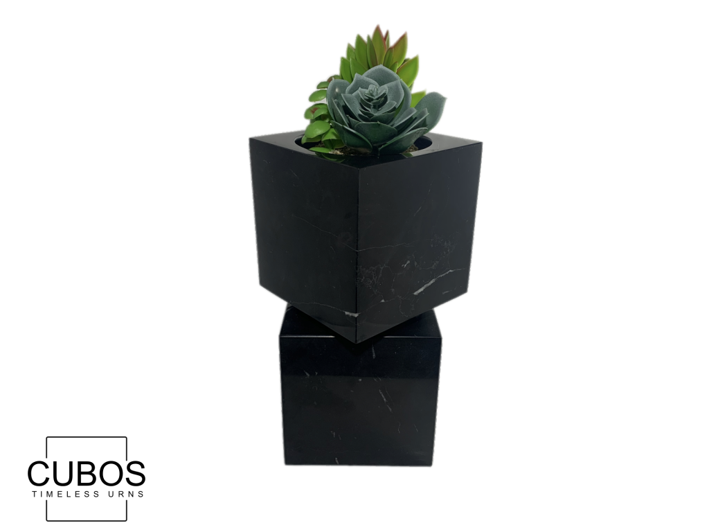 Cubos Plant Nero Marquina