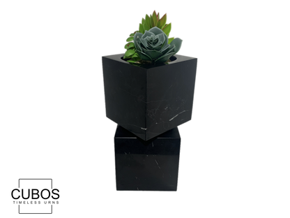 Cubos Plant Nero Marquina