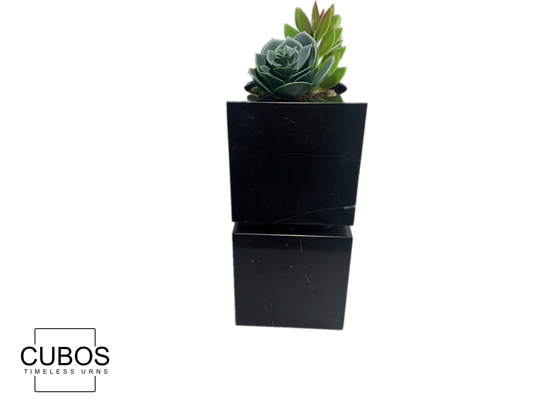 Cubos Plant Nero Marquina