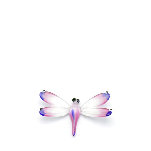 <transcy>Dragonfly 9cm Accessories</transcy>