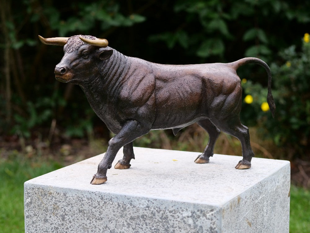 Bull in Bronze 28x14x49cm