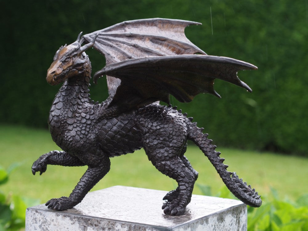 Bronze Dragon 30x34x35cm